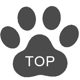 トップボタン